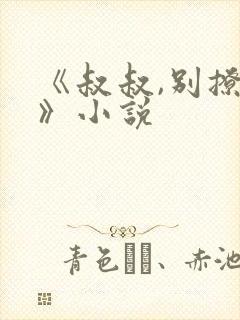 《叔叔,别撩我》小说封面