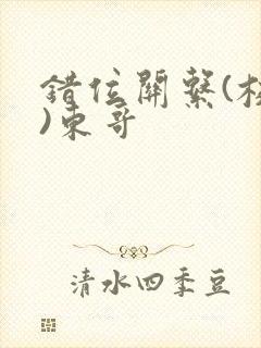 错位关系(校园)东哥