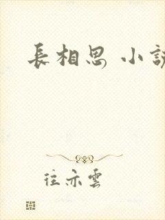 长相思 小说
