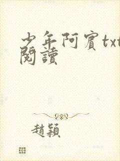 少年阿宾txt阅读封面