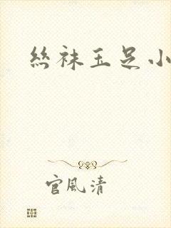 丝袜玉足小说