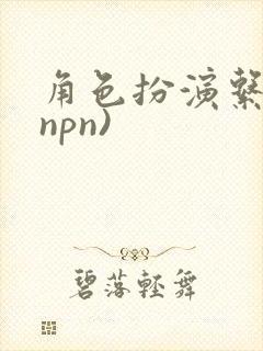 角色扮演系统(npn)