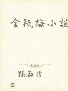 金瓶梅小说
