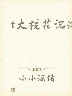 t大校花沉沦封面