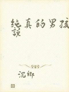 纯真的男孩子小说