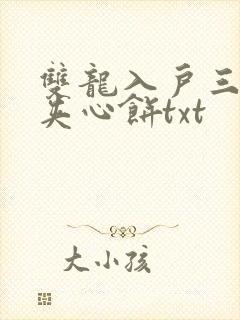 双龙入户三人行夹心饼txt