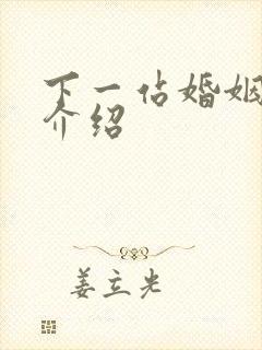 下一站婚姻剧情介绍封面