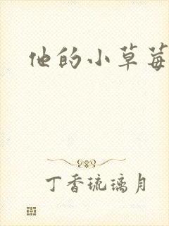 他的小草莓