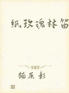 纸玫瑰林笛儿封面