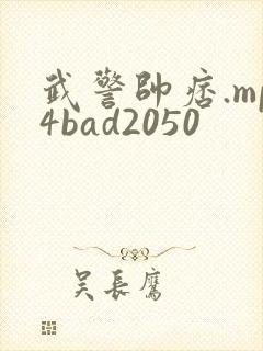 武警帅痞.mp4bad2050封面