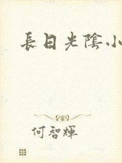 长日光阴小说