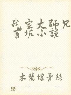 我家大师兄脑子有坑小说