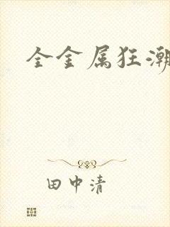 全金属狂潮小说封面