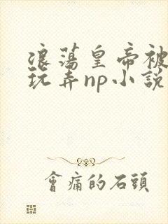 浪荡皇帝被多人玩弄np小说