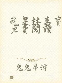 我是林喜宝小说免费阅读封面