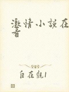 激情小说在线观看