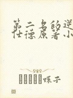 第二名的逆袭高仕德原著小说