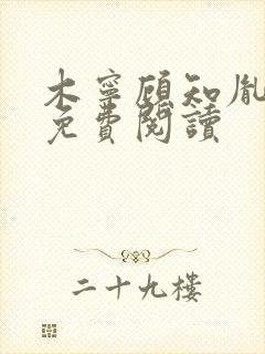 木宁顾知胤小说免费阅读