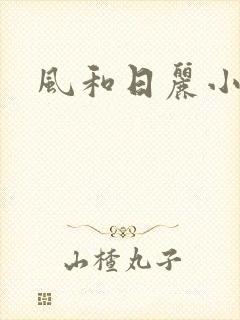 风和日丽小说封面