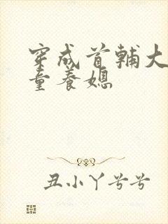 穿成首辅大人的童养媳