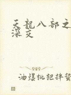 天龙八部之极乐深交封面