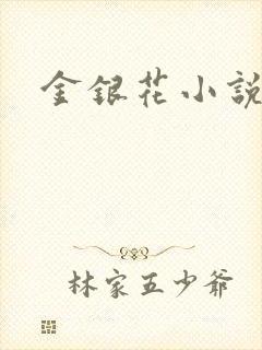 金银花小说乐可封面