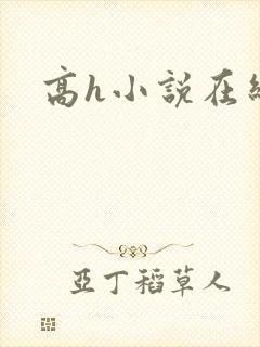 高h小说在线看