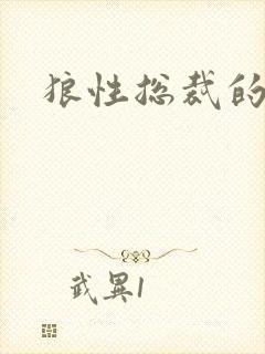 狼性总裁的尤物封面