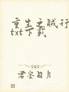 重生之贼行天下txt下载
