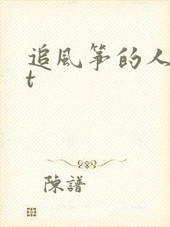 追风筝的人txt