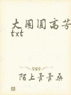 大团圆高芳小说txt