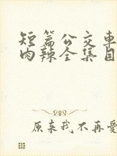 短篇公交车高h肉辣全集目录