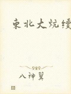 东北大炕续封面