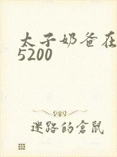 太子奶爸在花都5200封面