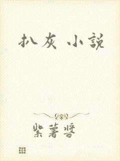 扒灰 小说封面