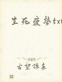 生死疲劳txt封面