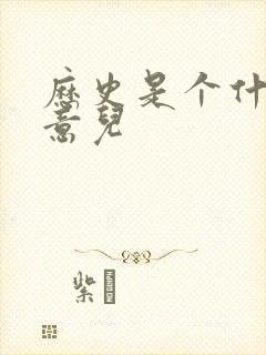 历史是个什么玩意儿封面