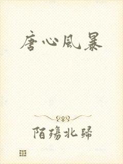唐心风暴