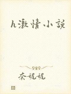 h激情小说