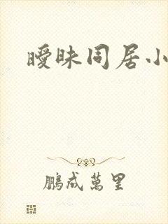 暧昧同居小说