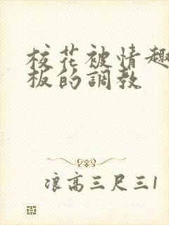 校花被情趣店老板的调教封面