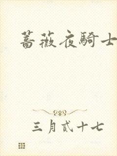 蔷薇夜骑士