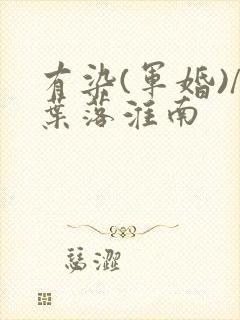 有染(军婚)/叶落淮南封面
