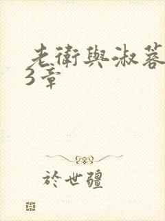 老卫与淑蓉第13章封面