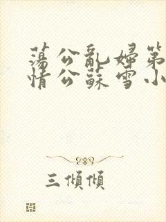 荡公乱妇第1章情公苏雪小说