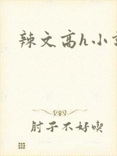 辣文高h小说封面