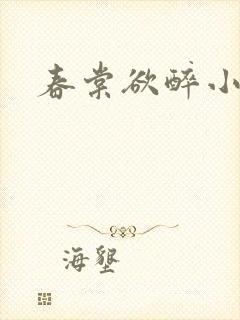 春棠欲醉小说封面