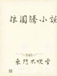 狼图腾小说