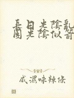 长日光阴乱作一团光阴似箭必读