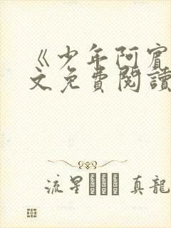 《少年阿宾》全文免费阅读封面